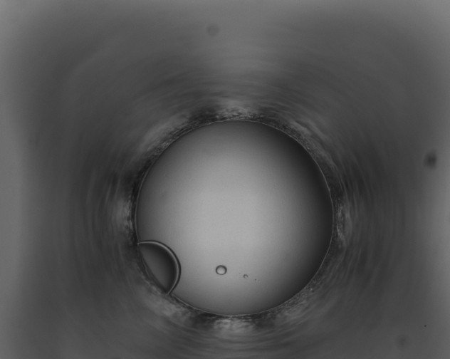 X0000093490714200710191227