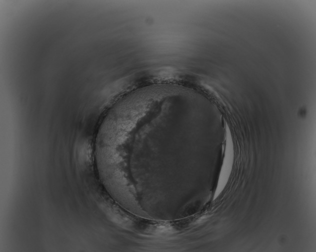 X0000093490715200710191227