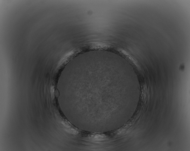 X0000093490716200710191227