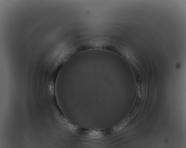 X0000093490718200710191227