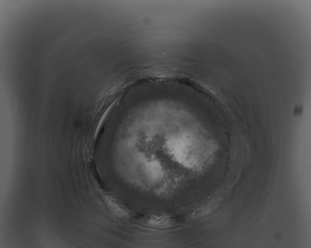 X0000093490720200710191227