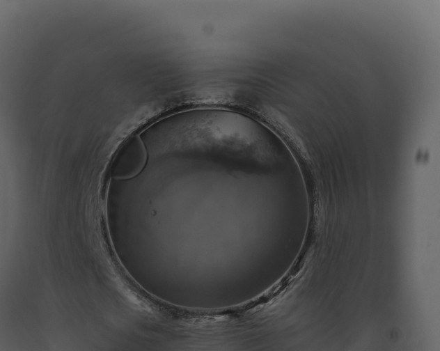 X0000093490721200710191226