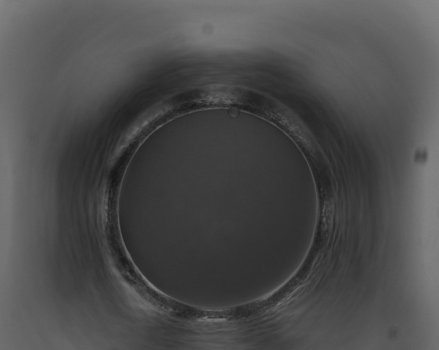 X0000093490722200710191226