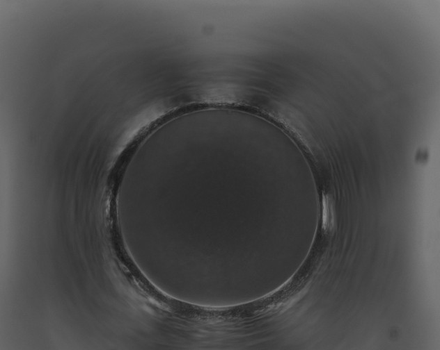 X0000093490723200710191226