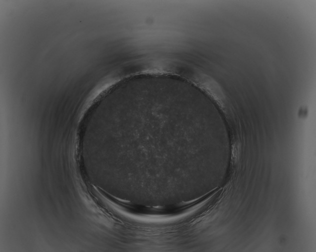 X0000093490724200710191226