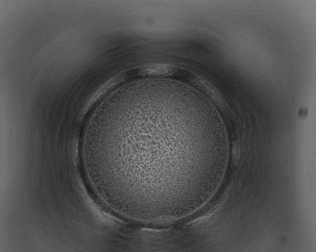 X0000093490725200710191226