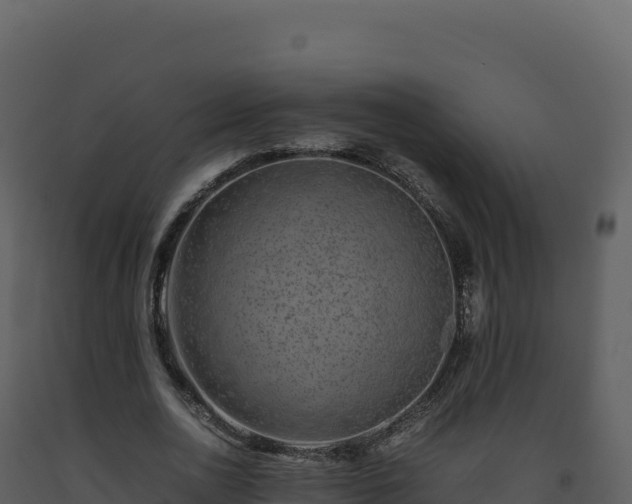 X0000093490726200710191226