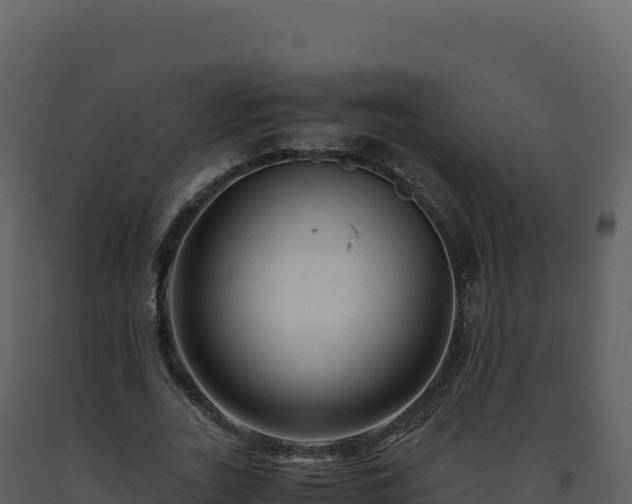 X0000093490727200710191226