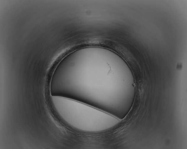 X0000093490728200710191226