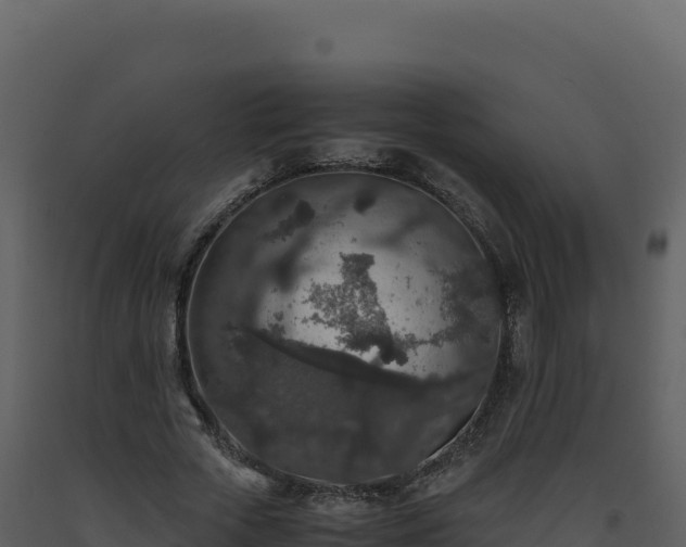 X0000093490729200710191226