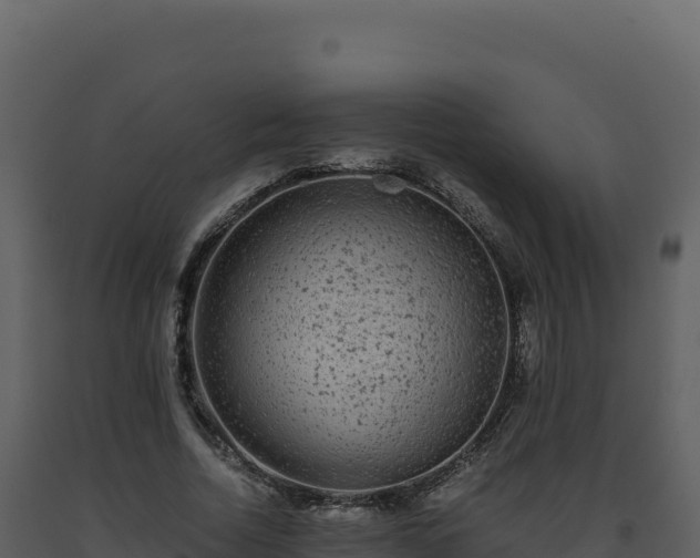 X0000093490730200710191226