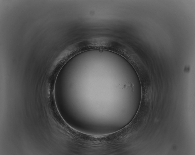 X0000093490731200710191226