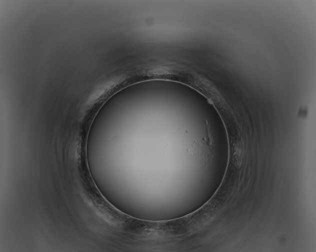 X0000093490732200710191226