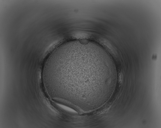 X0000093490733200710191226