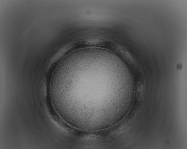 X0000093490734200710191226