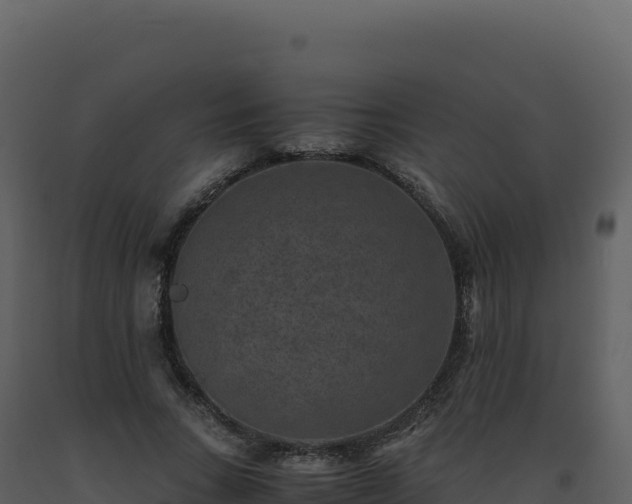 X0000093490735200710191226