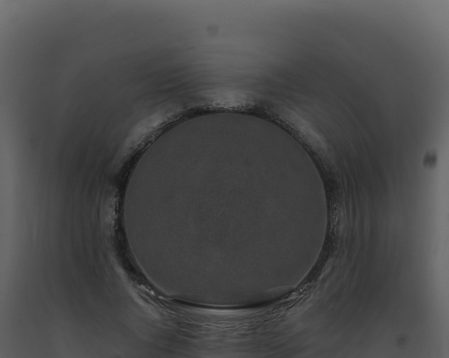 X0000093490736200710191226