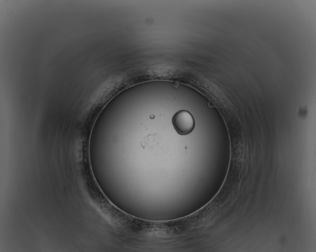 X0000093490738200710191226