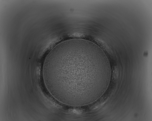 X0000093490739200710191226