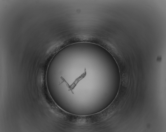 X0000093490740200710191226