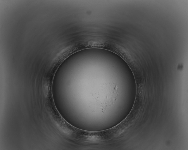 X0000093490741200710191226