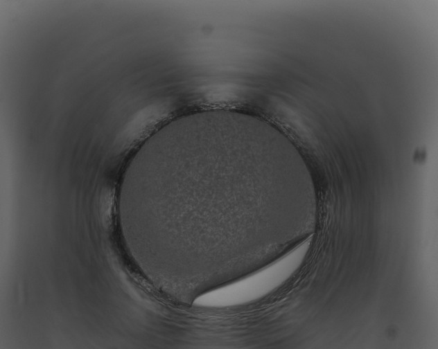 X0000093490742200710191226