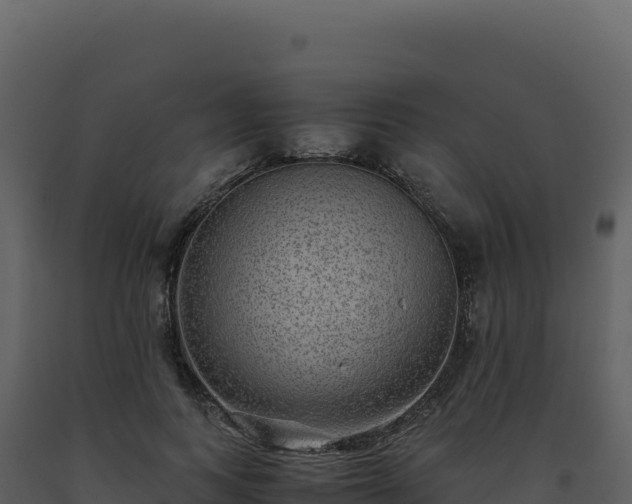 X0000093490743200710191226