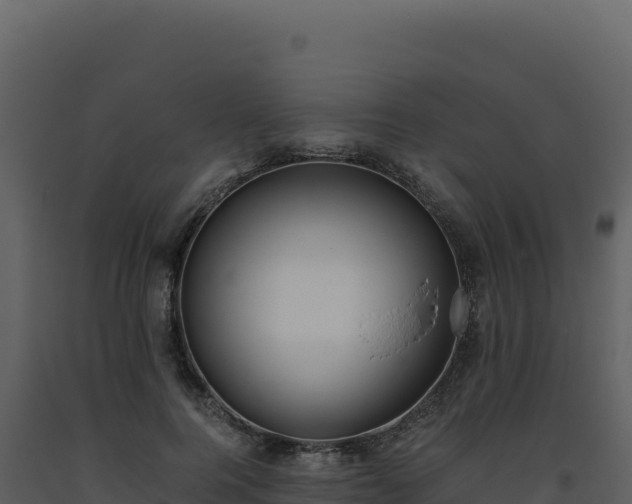 X0000093490744200710191226