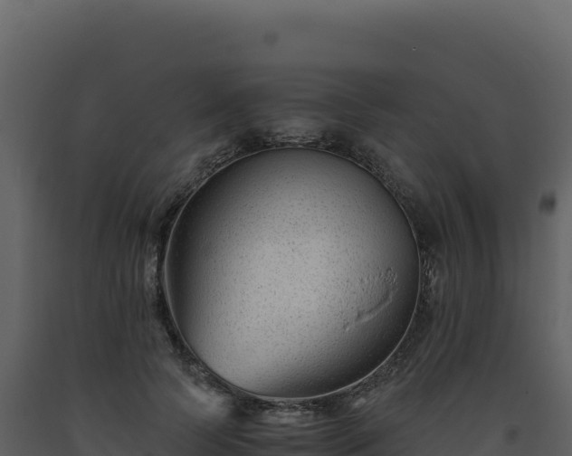 X0000093490745200710191226