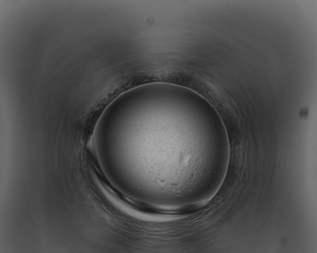 X0000093490750200710191227