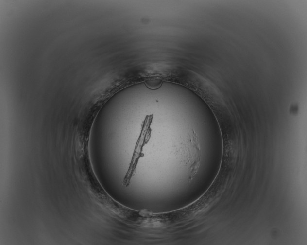 X0000093490751200710191227