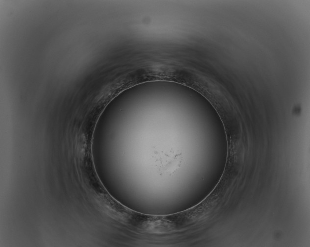 X0000093490752200710191227