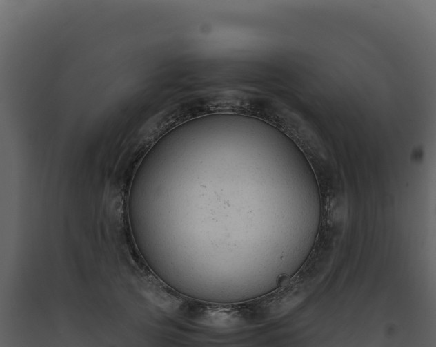 X0000093490753200710191227