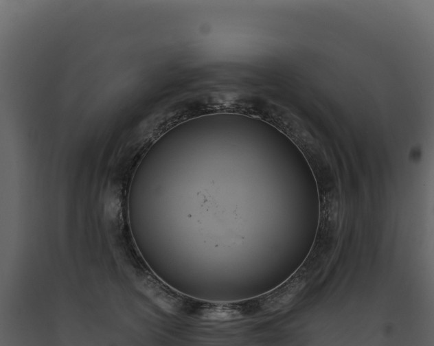 X0000093490754200710191227