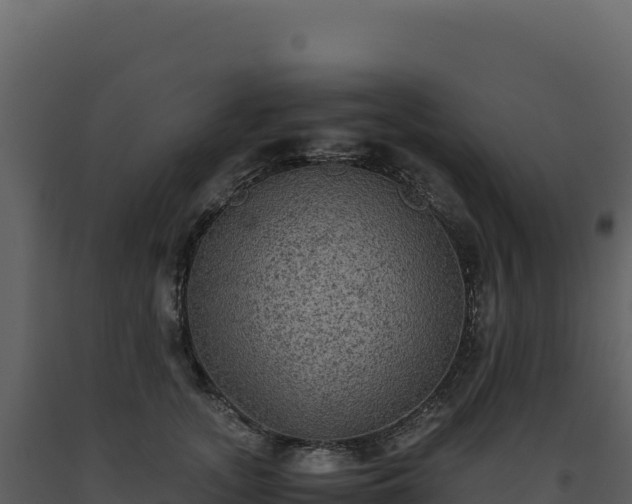 X0000093490755200710191227