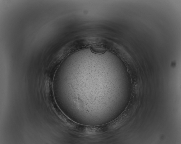 X0000093490757200710191227