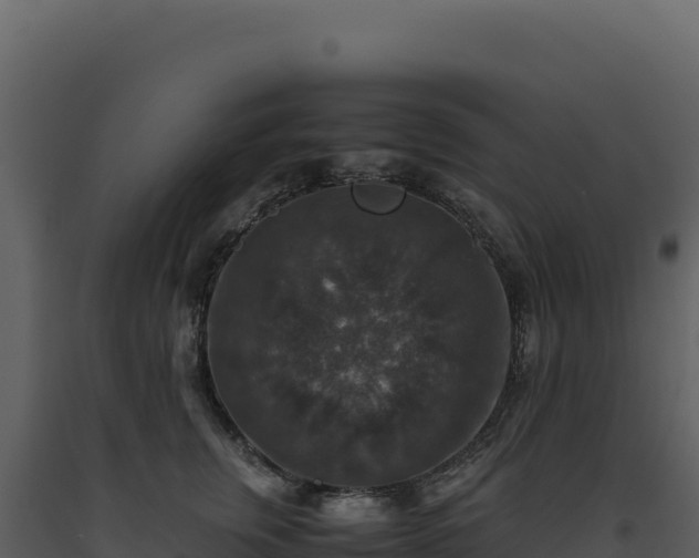 X0000093490759200710191227