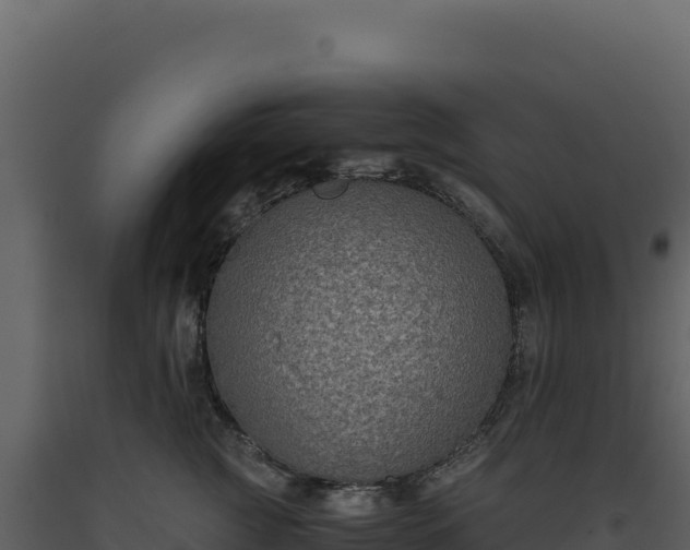 X0000093490761200710191227