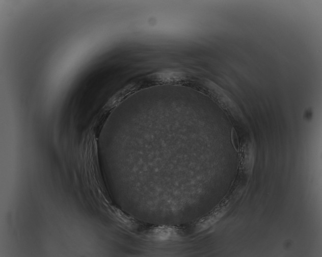 X0000093490762200710191227