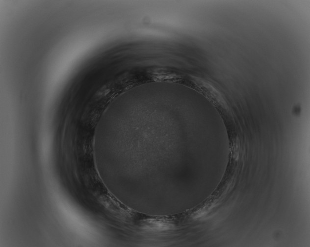 X0000093490763200710191227