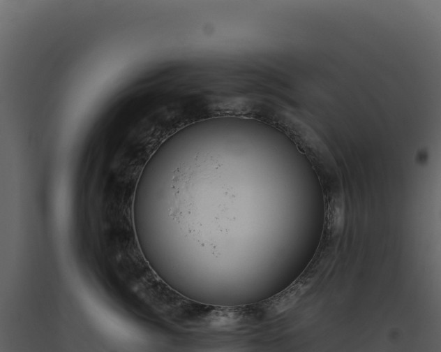 X0000093490764200710191227