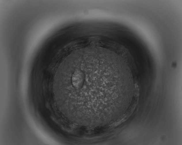 X0000093490765200710191227