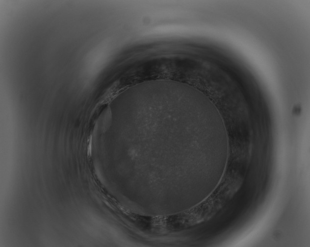 X0000093490766200710191227