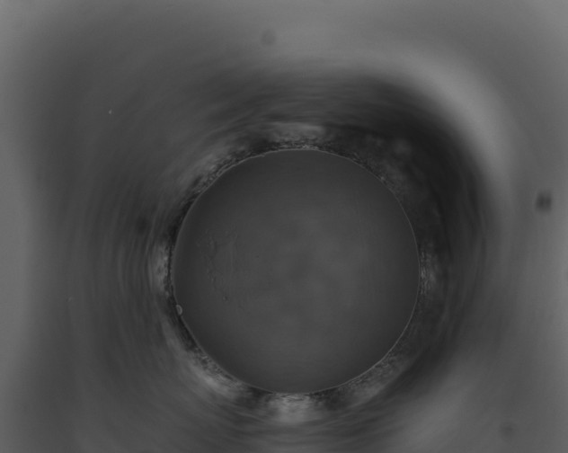 X0000093490767200710191227