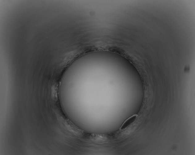 X0000093490768200710191227