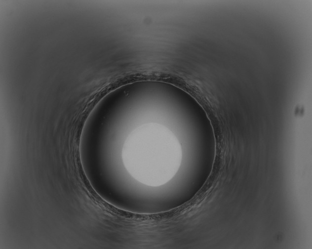 X0000093490769200710191226