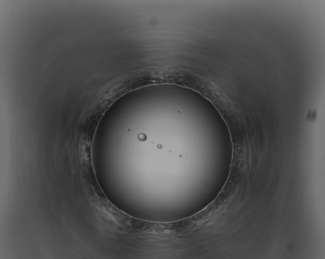 X0000093490770200710191226