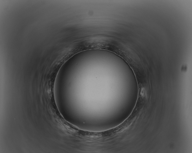 X0000093490771200710191226