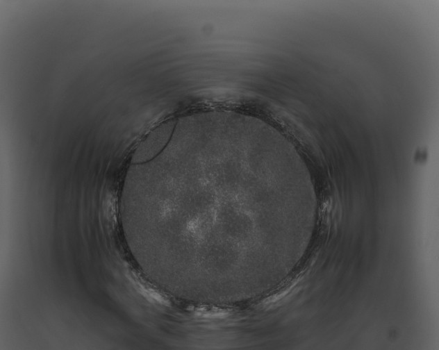 X0000093490772200710191226