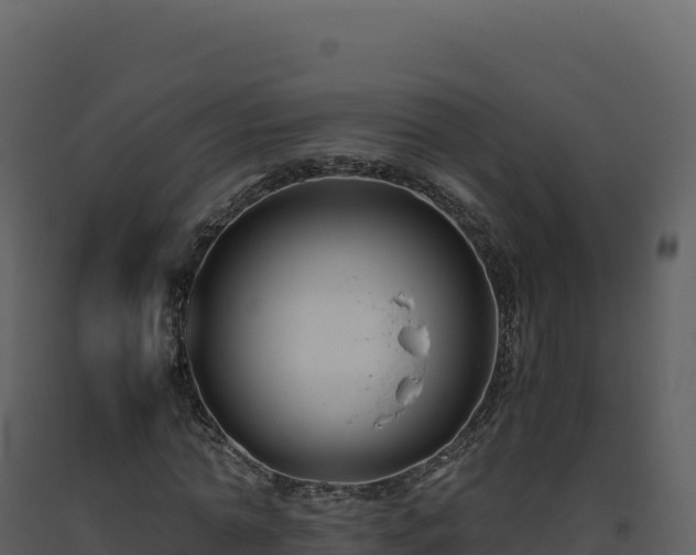 X0000093490774200710191226